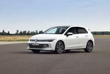 VW Golf Rabbit: Temperamentvolles Einstiegs-Kaninchen