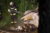 2 Tote Eletkro-Auto