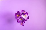 Floraskop: Diese Blumen sollten Sie am Valentinstag verschenken