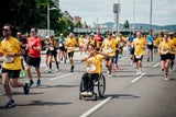 Wings for Life World Run