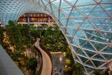 Skytrax World Airport Awards: Das sind die besten Flughäfen der Welt