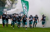 Danube Dragons Graz Giants