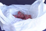 Hundehasser treiben in OÖ ihr Unwesen