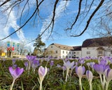 Burggarten