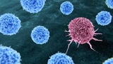 Revolution: Neue Therapie lässt Krebs verschwinden