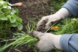 Mit diesen cleveren Tipps erblüht Ihr Garten pünktlich zu Ostern