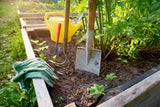 Das ist jetzt zu tun: Welche Gartenarbeiten im Juli anstehen
