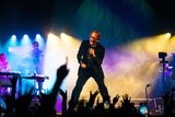 Pulp live