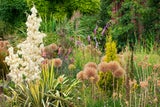 Mit diesen cleveren Tipps erblüht Ihr Garten pünktlich zu Ostern