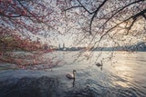 Last-Minute-Osterurlaub: 6 erschwingliche Ziele in Europa