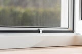 Im Frühling kommen die Insekten: So halten Sie sie aus der Wohnung fern