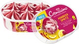 Twinni & Co gehen an die Börse