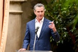 Newsom