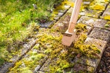 Unkraut adé: So werden Terrasse und Balkon wieder blitzblank