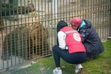 Der slowenische "Restaurantbär" Felix darf jetzt endlich nach Niederösterreich kommen. 