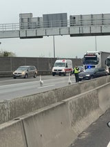 Schwäne auf S1 Polizei-Einsatz