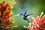 Costa Rica: Geheimtipps im Land der Naturwunder