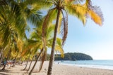 Costa Rica: Geheimtipps im Land der Naturwunder