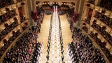 Die ganze Ball-Nacht zum Nachlesen