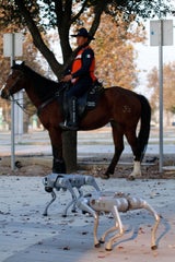 roboterhunde