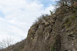 Eine schroffe Basaltklippe erhebt sich an den Hängen des Somló-Hügels. Verwitterte Gesteinsschichten zeichnen die steile Wand, während spärliche Frühjahrsvegetation den kargen Boden bedeckt. Am Rand klammern sich kahle Bäume fest – ihr knorriges Geäst betont die dramatische Landschaft vulkanischen Ursprungs unter einem wolkenverhangenen Himmel.&nbsp;