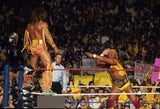 Hulk Hogan