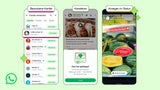 Neue Funktionen im WhatsApp-Aktuelles-Tab: Mehr Inhalte entdecken und Firmen direkt kontaktieren.