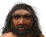 Wissenschaft steht Kopf: Millionen Jahre alter Schädel wirbelt Menschheitsgeschichte durcheinander