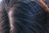 Mythos im Check: Wachsen wirklich mehr graue Haare nach, wenn man sie sich ausreißt?