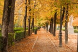 Reiseexperten sind sich einig: Diese europäische Stadt ist das beste Reiseziel im Herbst