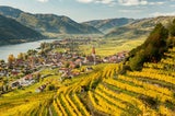 Weinwandern im Herbst: Die besten Routen in und rund um Wien