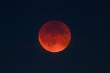 Mond