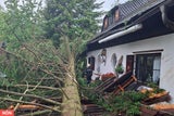 In Weinern verfehlte ein umgestürzte Baum nur knapp ein Wohnhaus.