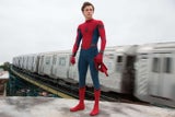 Tom Holland