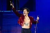 Harry Styles bringt Sexspielzeuge auf den Markt und Fans flippen aus