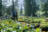 Geheimtipps: 10 traumhafte Frühlingswanderungen quer durch Österreich