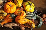 Gefahr im Herbst: So erkennen Sie giftige Kürbisse!
