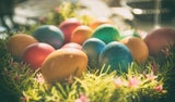 Cholesterin-Schreck oder Gehirn-Booster? So gesund sind Eier wirklich