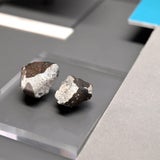Meteorit ist im Museum gelandet