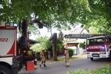 In der Parkallee in Ebreichsdorf stürzte ein Baum auf ein Telefonkabel und ein Grundstück.