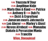 Afrika Tage Lineup