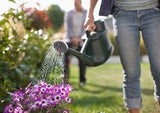 Gartenarbeiten im August