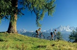 In den Bergen: Österreichs schönste Radtouren im Herbst