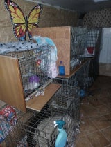 Weder Wasser noch Futter in Transportboxen