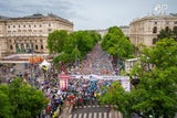 Wings for Life Run