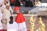 Papst Franziskus Francis Prevost
