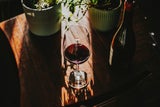 Weltweit auf Platz 3! Österreich ist Spitzenreiter bei Alkoholkonsum