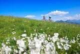 Shopping & Bergluft: Tipps für den Kitzbühel-Sommer