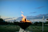 Sommer-Hack: Deshalb gehören Flusen aus dem Trockner in den Garten