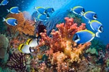 Die 25 eindrucksvollsten Reiseerlebnisse der Welt – laut National Geographic